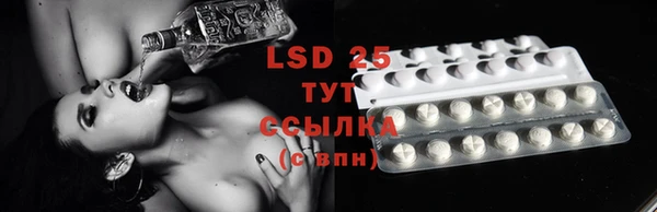PSILOCYBIN Рославль