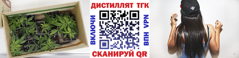Дистиллят ТГК гашишное масло дарнет шоп нарко площадка формула Семилуки