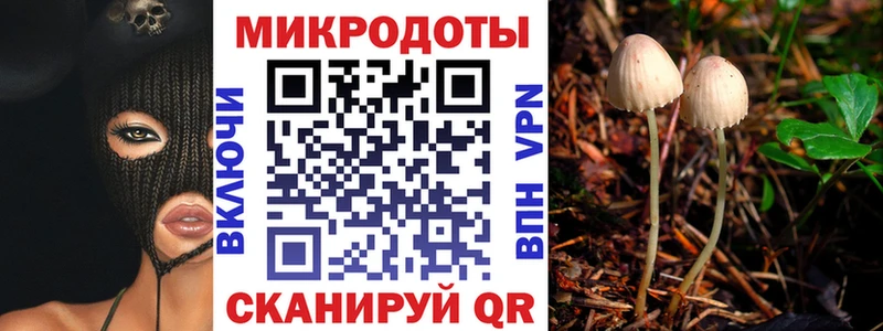 ссылка на мегу маркетплейс  цена   Семилуки  Псилоцибиновые грибы Magic Shrooms 