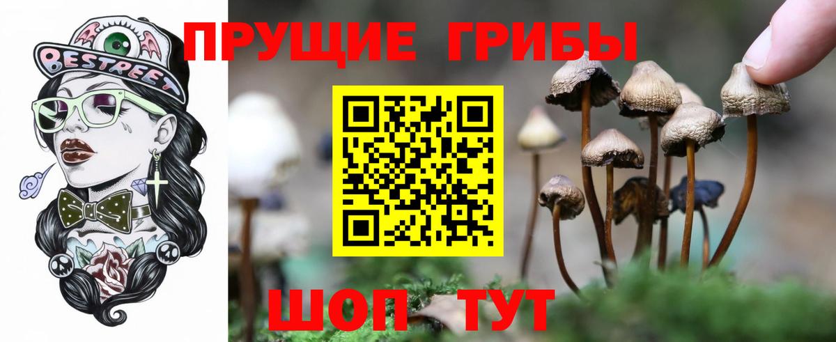 Семилуки  Псилоцибиновые грибы мухоморы  Галлюциногенные грибы MAGIC MUSHROOMS  Вход с VPN 