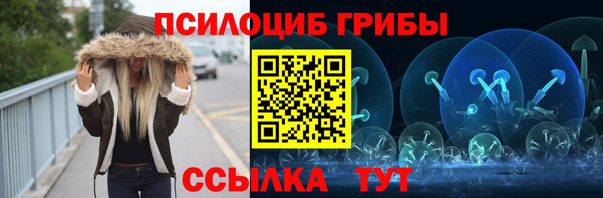 Псилоцибиновые грибы мицелий Семилуки